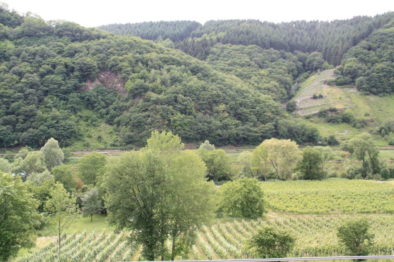 Weingut Sauer-Kettermann Villa Enkirch Exterior photo