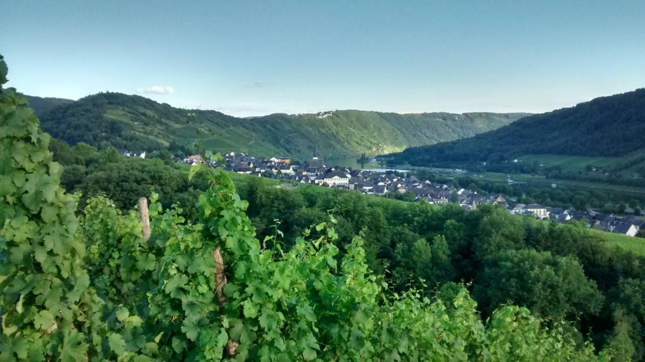 Weingut Sauer-Kettermann Villa Enkirch Exterior photo
