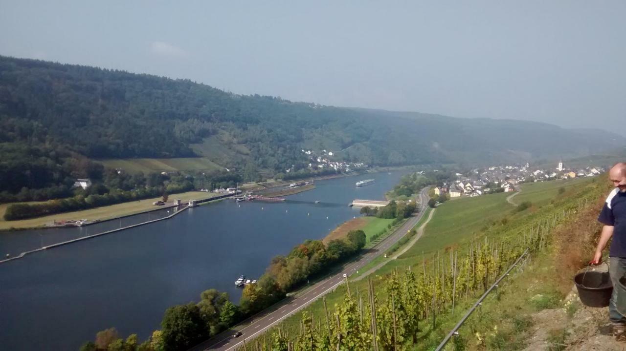 Weingut Sauer-Kettermann Villa Enkirch Exterior photo